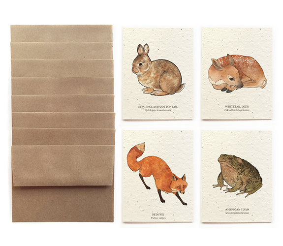 "Forest Wildlife" Card Set - Bower Studio